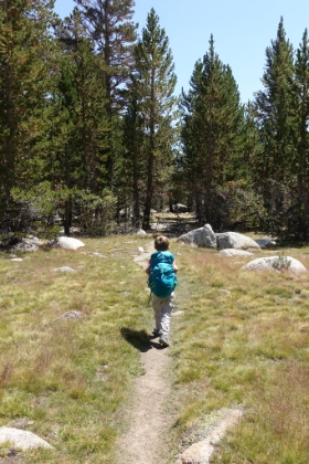 Getting back down below the tree line now.