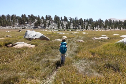 This trail definitely doesn't get much use. A slight trampling of the grass was all we had to follow, but we found our way.