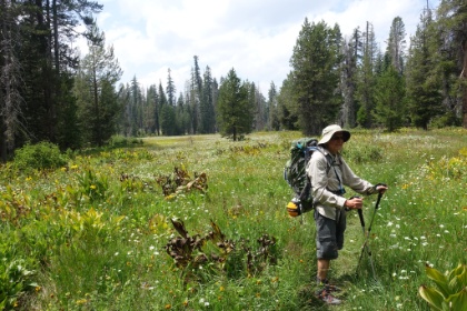 Dad taking in the giant fields of wildflowers.