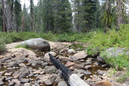 Fortunately there's flowing water in the stream, and I'm able to fill-up. This has been one of the driest years on record, so water will be tough to come by.