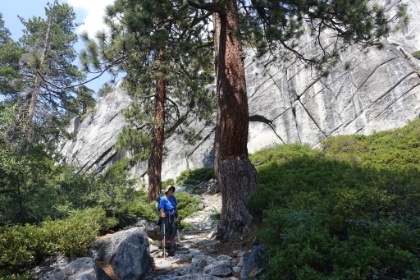 Dad taking in the view up the canyon.