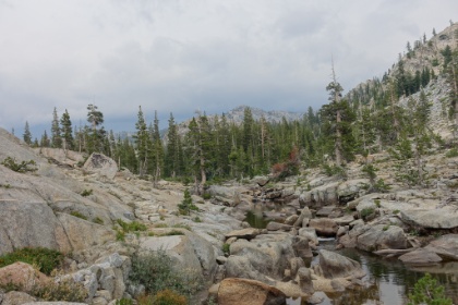 Continuing up the canyon with the trail following the creek.