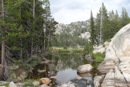 Water and forest views everywhere.