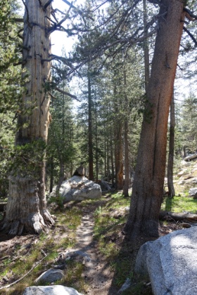Heading into Tilden Canyon, one of the most remote areas in the Lower 48 states. Almost 20 trail miles from the nearest road or building of any type.