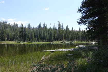 One more lake. I actually thought there was one more after this where we could fill water for the day. But this turned out to be the last lake, which meant we would have a hard time finding water. We had filtered water at Wilmer Lake in the morning, but now needed enough to get through camp tonight and well into tomorrow.