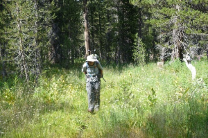 After filling-up with reasonbly clean water, we kept on moving. The trail is starting to dissapear in the  meadows.