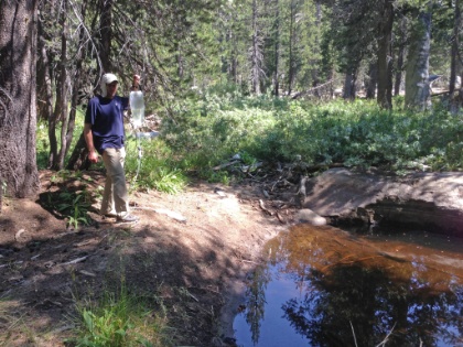 We followed what would normally be a small creek along the trail for a couple miles hoping to find some flowing water to filter. The creek was almost entirely dry and after scouting ahead for a ways, it looked like this was our last chance for water for the day. Completely still, dark brown color, mosquitos flying all over the surface, and bugs swimming in the water itself. This was definitely a test of the filtration system!