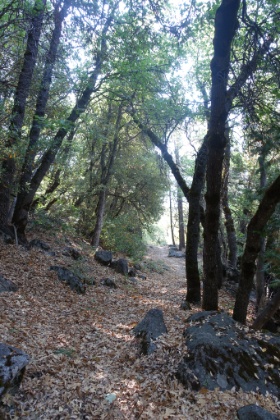 Some nice singletrack as we head down to the valley floor.
