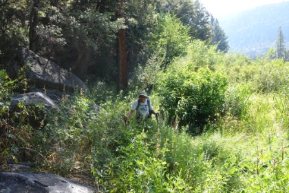 I'm all for overgrown trail, but this is getting out of hand. It's complete bushwhacking. Is it really even the trail??