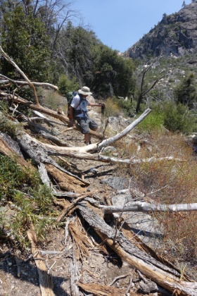 We didn't have much tree fall on the trail, but when we did, it sure wasn't easy to traverse with the packs on. Not far from here, we saw our first humans in over 48 hours.