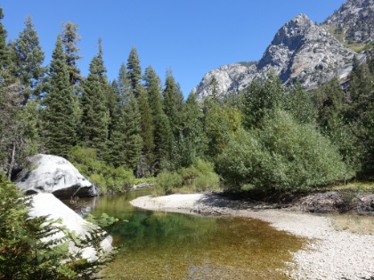 Water winding through the forest and granite.
