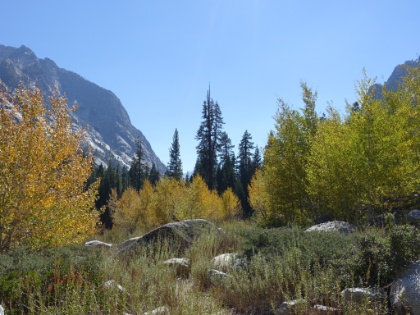 A beautiful Aspen Grove along the trail. Though there's less green this time of year, the Fall colors more than make up for it.