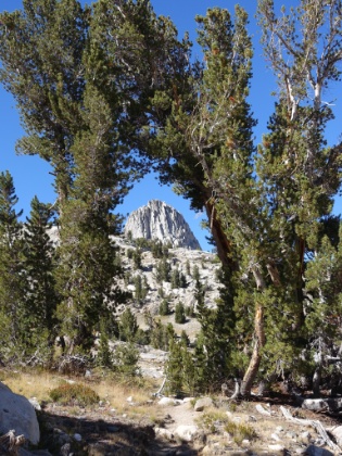 The perfectly framed backside of Fin Dome. Looks like some sort of High Sierra wedding chapel.