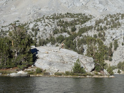 And he makes it! He scrambles up to the peak (in bare feet) and conquers the island! The return trip wasn't quite as smooth though. About half way back, the cold and fatigue really started to hit him. After a bit of struggle though, he was able to gather himself and make it the rest of the way. But he didn't look to good when he got out, and hypothermia was a real concern.