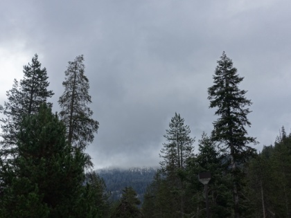 After getting off the trail the night before, we drove out to Stony Creek and stayed at a small lodge there. We woke to a light rain and snow on the peaks around us. Looks like we timed our five days on the loop perfectly. It was definitely great to see fresh snow though. Here's hoping for a wet winter! Now we're on our way to see the General Sherman tree.