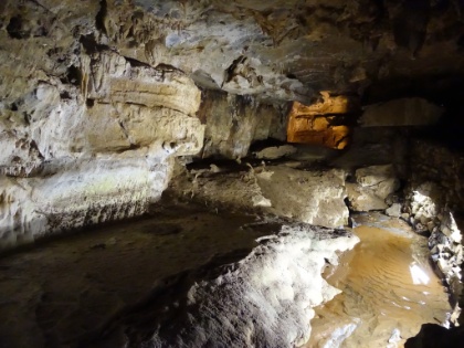Crystal Cave is one of the largest publicly accessible marble karst caves in North America. It has been a popular tourist attraction since the 1940's, with tours run all day every summer. We reserved our tickets and made the relatively long drive down for the tour. Here you can see the underground stream running through the cave. The water carves one inch deeper every 540 years.