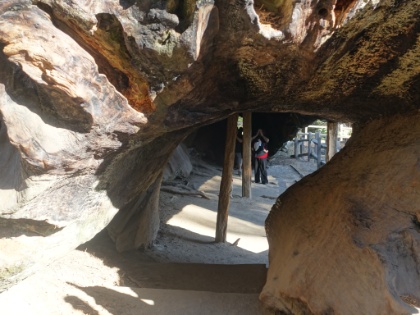 A path constructed through the remains of a fallen Giant Sequoia. Gives you a good sense of the massive size.