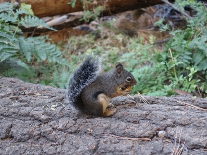 This guy was posing so perfectly, I couldn't pass up the chance for a picture.