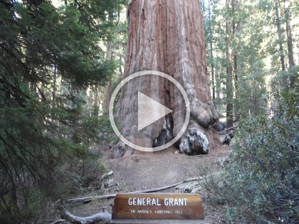 A video does a little better job at capturing the scale.  For best performance, you can view the video on  YouTube .