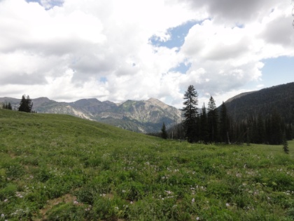 Constant views of huge green meadows full of wildflowers with mountains in the distance.