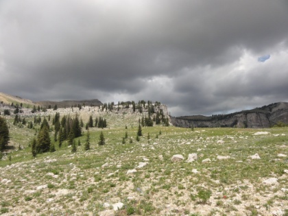 Further above the treeline, the meadows give way to almost desert-like alpine terrain. The trail on Day 1 was rolling most of the way, climbing above the treeline, and then dipping back below.