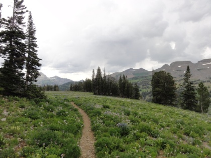 The trail along the Shelf.