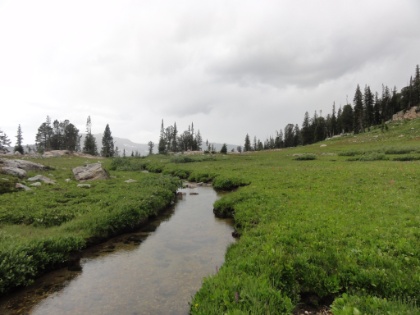 There are beautiful creeks and ponds throughout the Basin.
