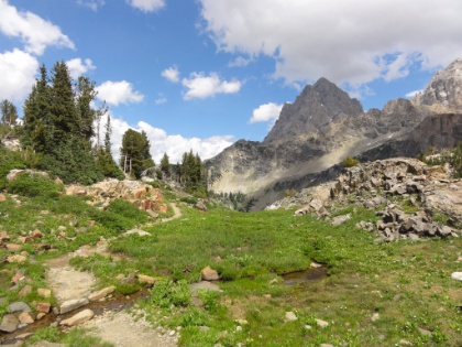 Back into green terrain and water everywhere.