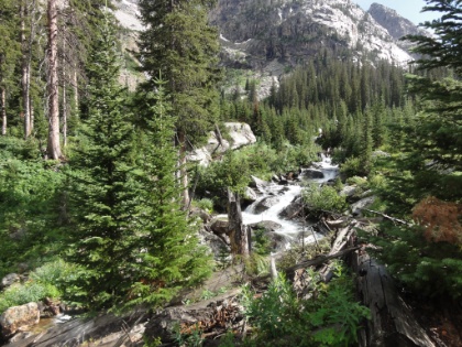 Cascade Creek roaring through the forest.