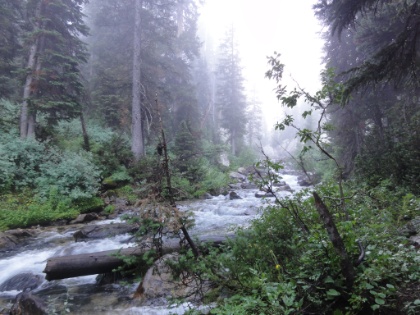 A misty morning on the creek.
