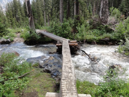 Hitting the trail on Day 3, more fantastic forest and cascading water views.