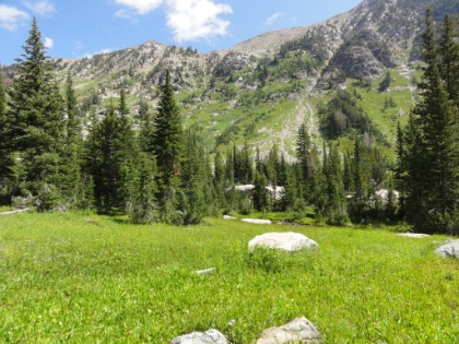 More amazingly green meadows.