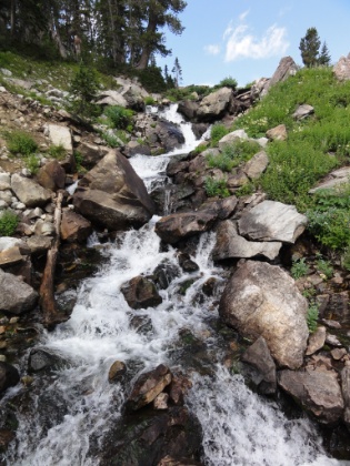 Almost to the very end of the canyon, the creek falls right off the edge of the Lake Solitude plateau above.