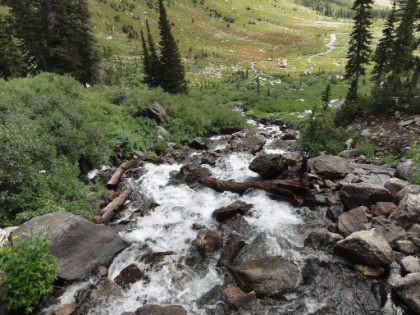 The creek flowing down the canyon.