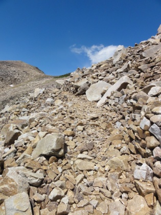 Increasingly steep and technical trail, but I'm slowly getting closer to Paintbrush Divide.