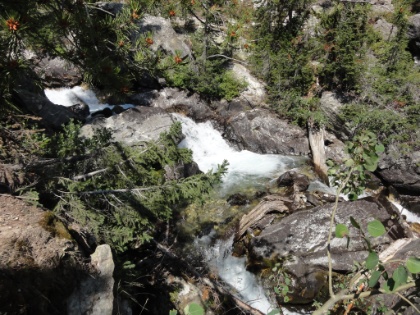This picture looks like nothing, but it's actually the creek narrowing into a steep gorge, and the noise is thunderous.