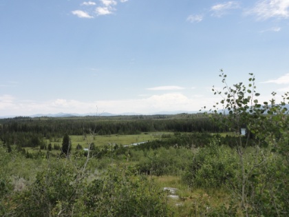 Almost all the way back down to the valley floor at around 6,500', having dropped 3,000' since Holly Lake.  As the elevation drops, the terrain and vegatation is starting to give way to the more typical SoCal style chapparal. I'm aleady missing the backcountry.