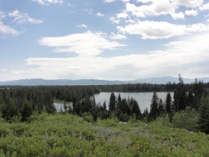 String Lake, which is fed by Leigh Lake and in turn drains into Jenny Lake.