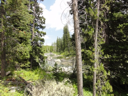 String Lake narrows into a small river on its way to Jenny Lake.