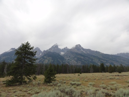 The Cathedral Group of the Teton Range... Grand Teton, Mount Owen, and Teewinot.
