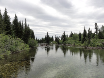 The end of String Lake that drains into the larger Jenny Lake.