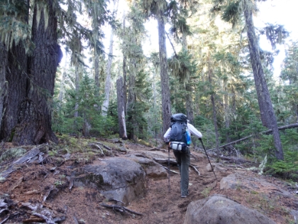 Fantastic single track right from the beginning. I can definitely see why trail runners love living in this area.