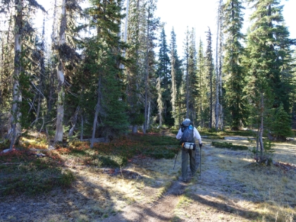Just about anywhere there was heavy shade, there was frost on the ground.