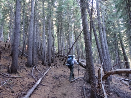 Perfect, spongy trail. Dr. Rock started the morning at an amazingly fast pace. I struggled to keep-up at times.