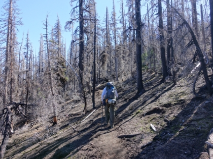 Not too far beyond South Matthieu Lake, we enter the Pole Creek Burn Area. Drought conditions fueled a huge lightning strike fire in 2012 that left much of the eastern side of the Three Sisters Loop in ruins. Though the burn area is fascinating in its own way, I would have loved to have done the loop before 2012.