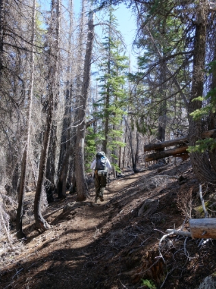Continuing to make great time on beautiful half-green, half-burned single track.