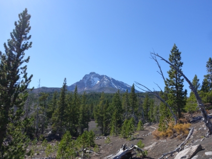 Finally we break through for a clear view of the peak.