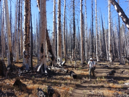 Back into a heavy burn area with interesting colors.