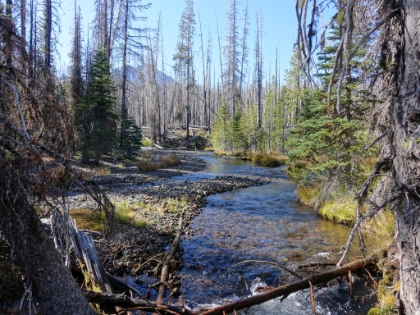 A nice stream further South along the trail with the Middle Sister in the background.