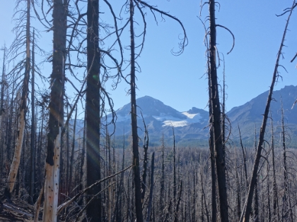 A good view of what I believe is the Diller Glacier on the eastern side of the Middle Sister. There are something like 15 glaciers surrounding the three peaks. I can only imagine what they look like in a really wet year.